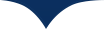 Broadcast News Monitoring Service